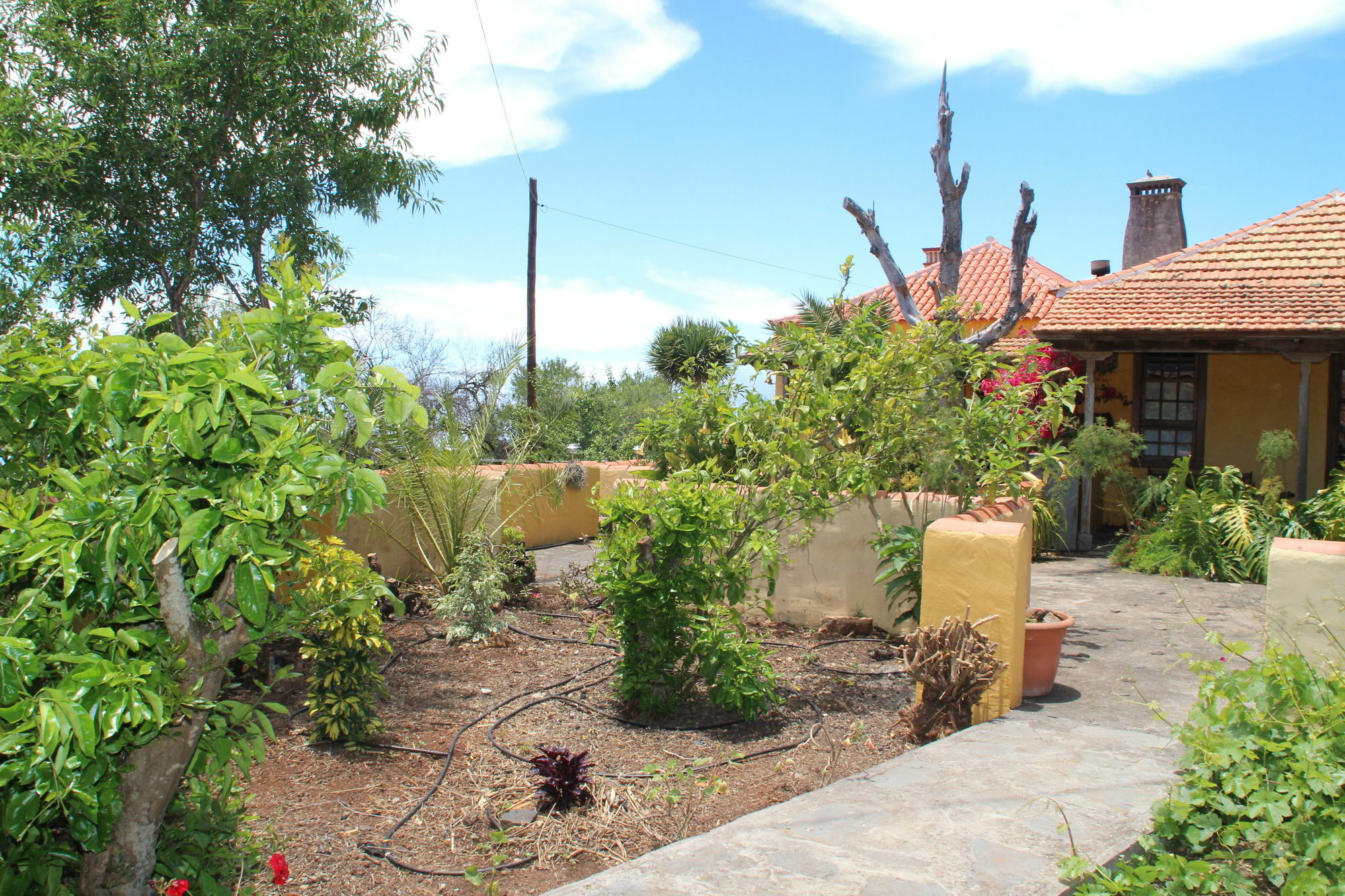 Casas Rurales Los Marantes Puntagorda  Exterior photo