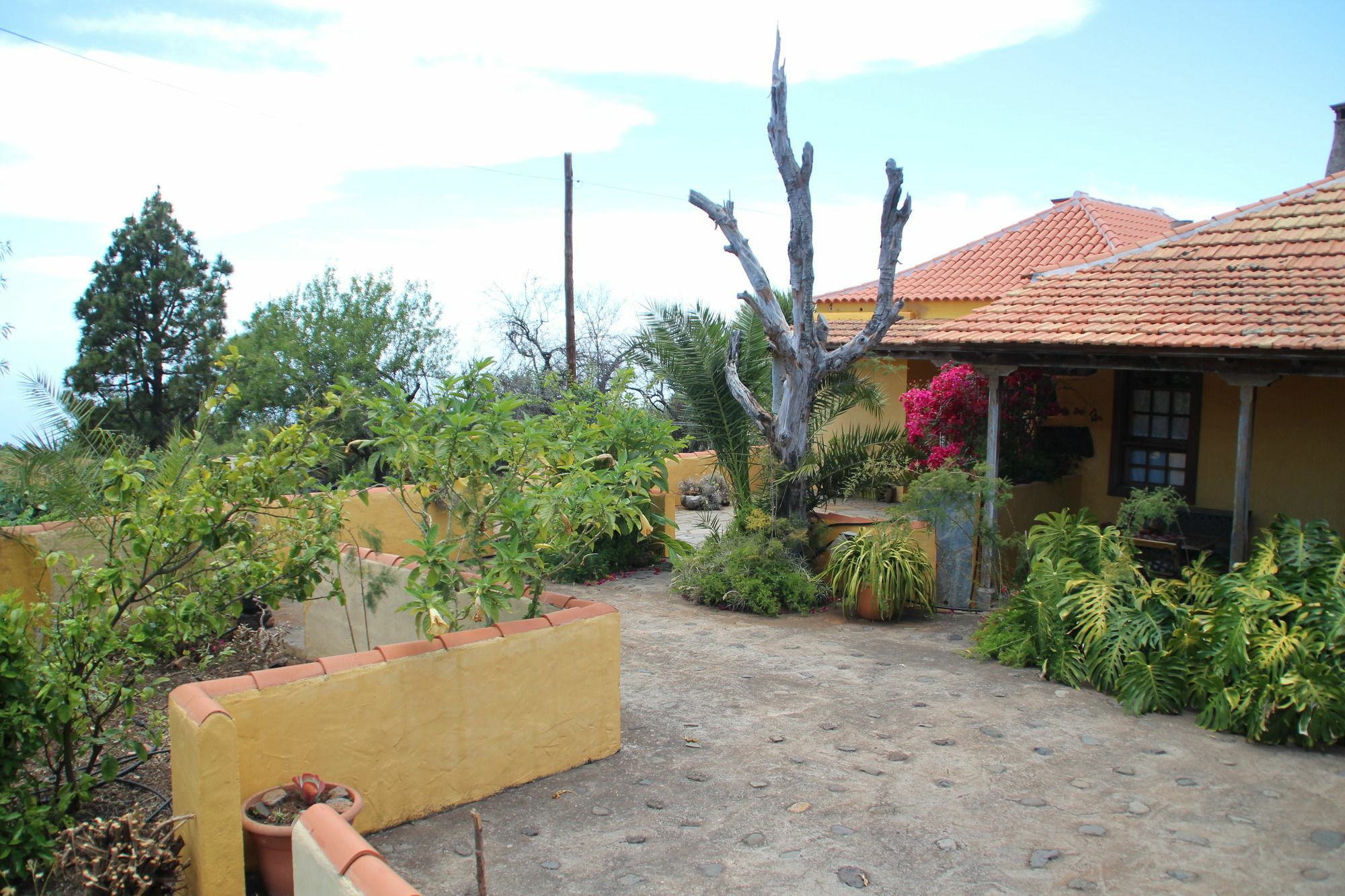 Casas Rurales Los Marantes Puntagorda  Exterior photo