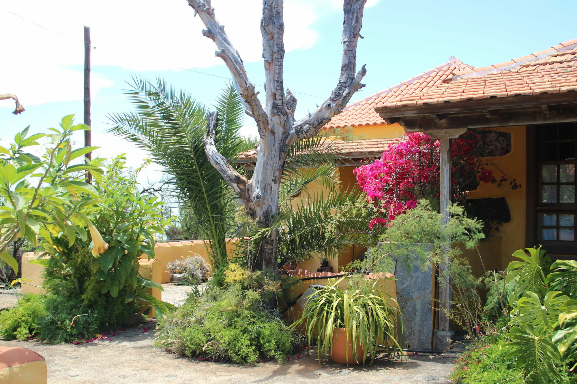 Casas Rurales Los Marantes Puntagorda  Exterior photo
